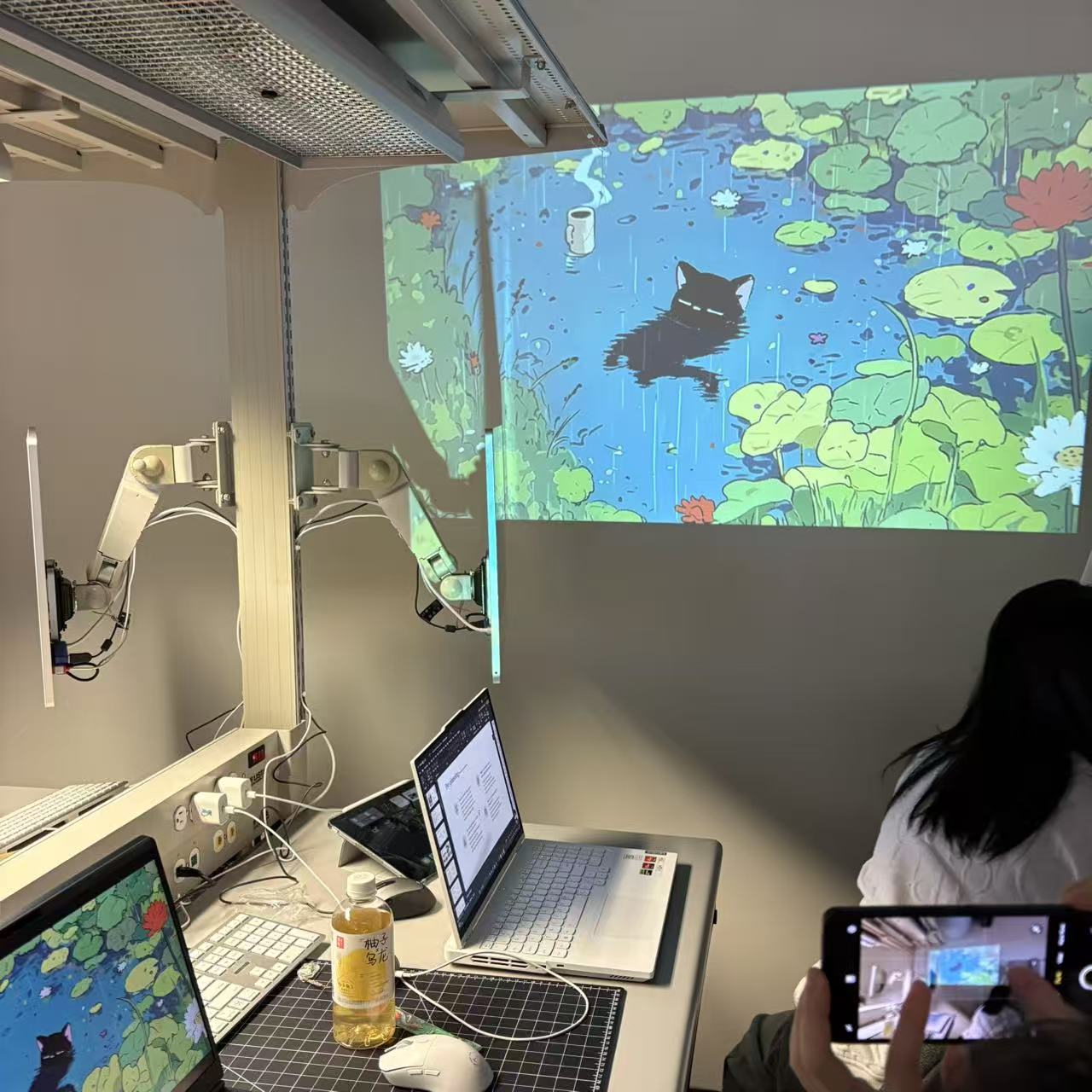 This shows the projector's output—the colors appeared much lighter than anticipated.